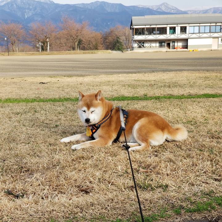 4f0d35cb 156b 4437 8a5f 4bbe9f0d10c8 1617348044871