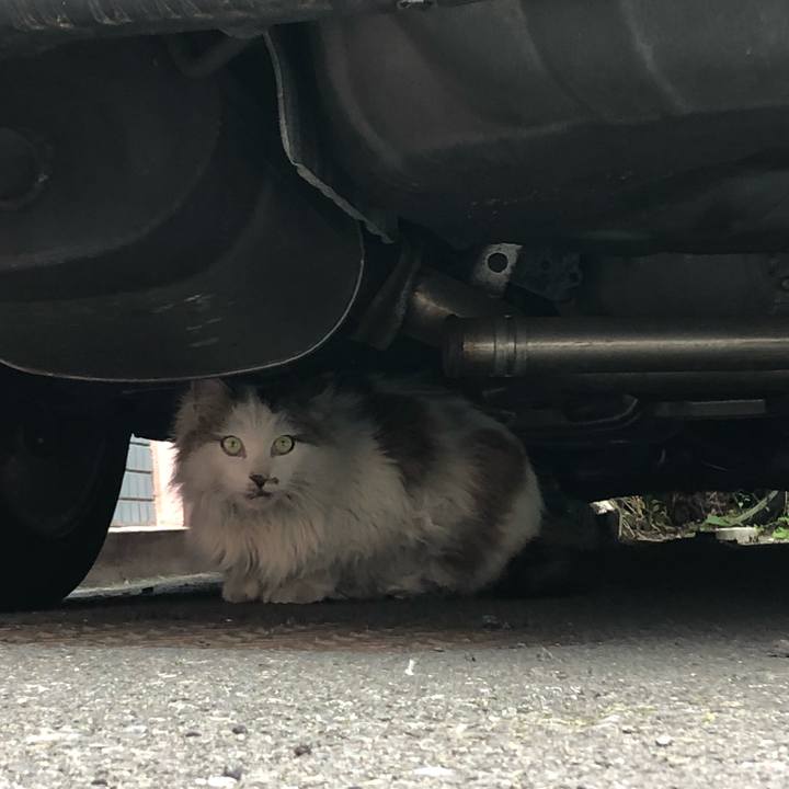 4f0d5f88 2342 4040 8ccd 37398b5ab88d 1525314673247