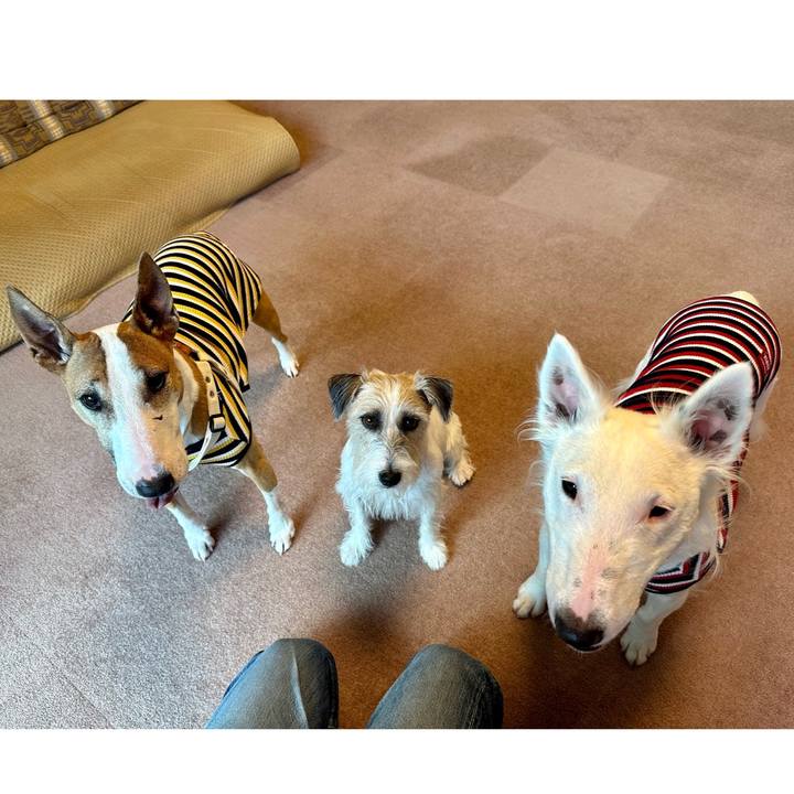 4f0d7a27 6970 4ac2 b9b6 32bce157bbb5 1697675553522