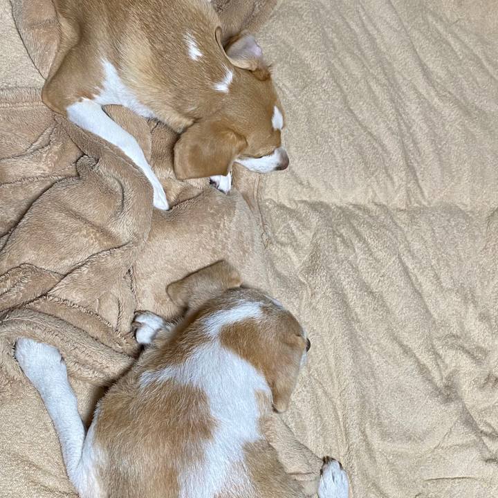 4f0dc13f 44d4 489c 80f2 b4325608fb8a 1596149331071