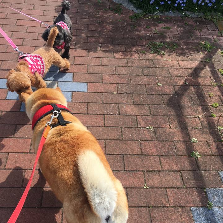 4f0dc53a be72 42d4 bcef 8e18b06013c2 1616633591082