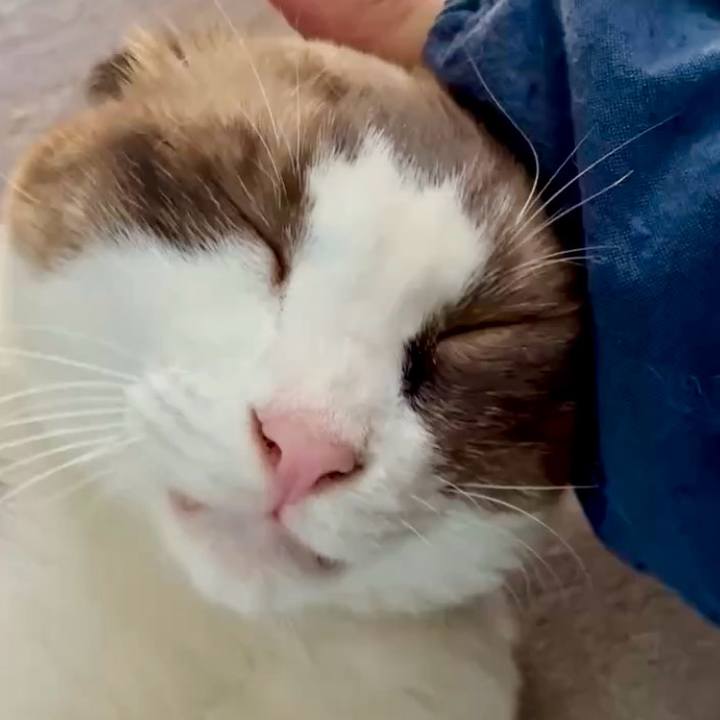 4f0de76a 09af 4e14 8494 870b90a7ff5c 1757901928880