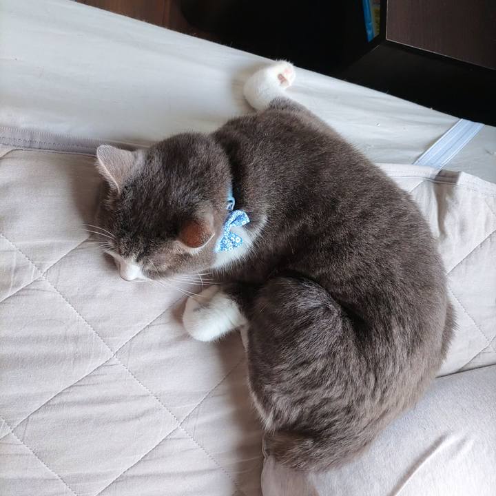 4f0dfa38 7b6c 4367 8b6a 27ace8c3bf18 1722556712850