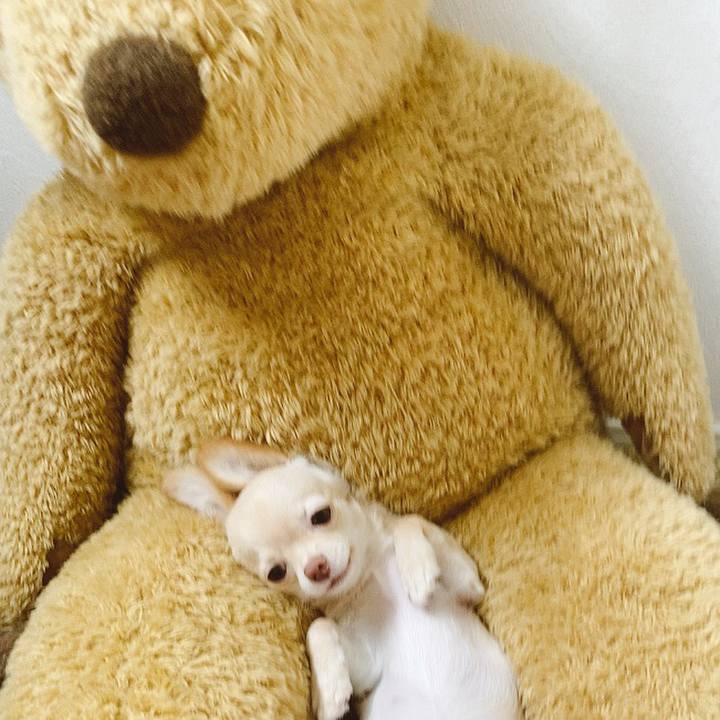 4f0e1336 01a1 4815 868a c4c84afb12d7 1596085906976