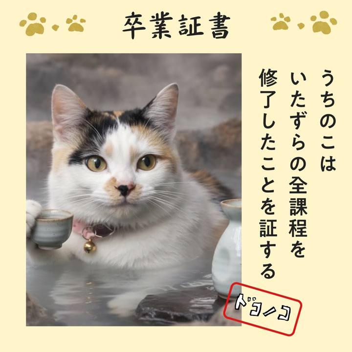 4f0e2a8d d04f 49a9 b5e5 e212dfb65ba8 1772110133670
