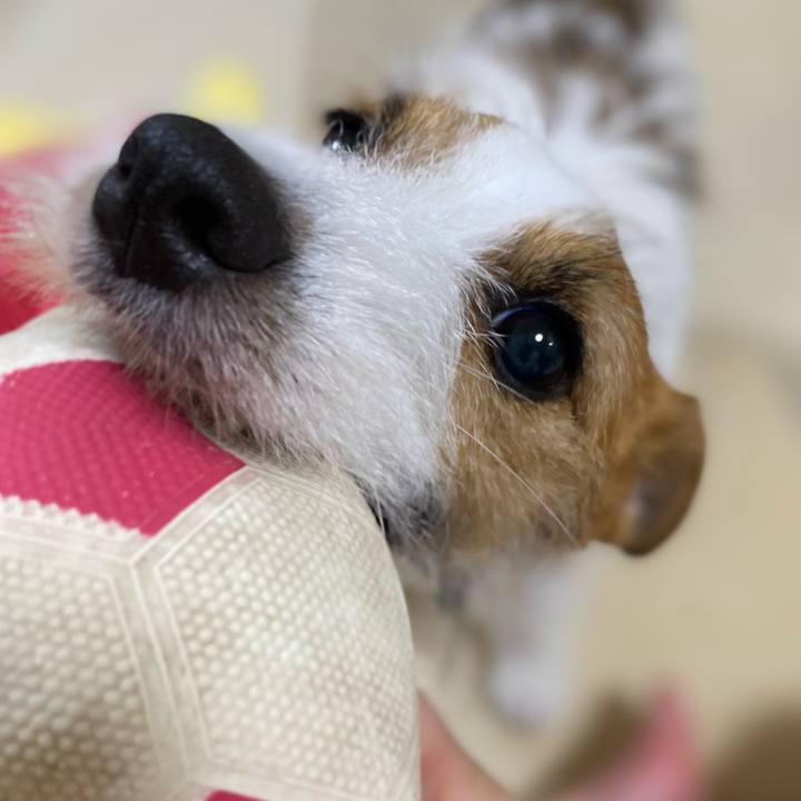 4f0e41db e091 4ce0 a2e4 6555ee0c4d79 1699535489812