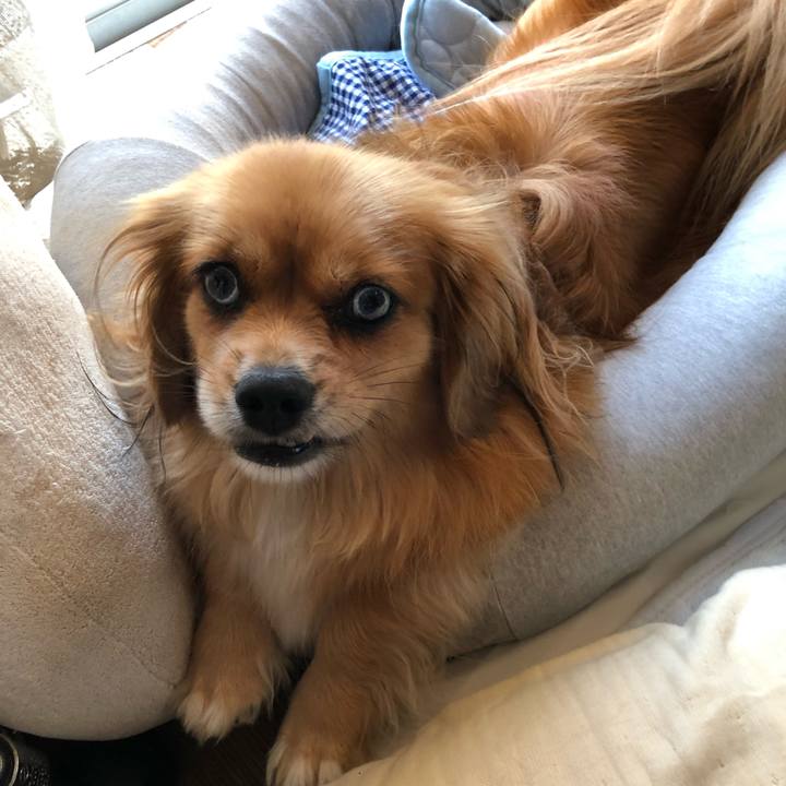 4f0e4dab ee85 4964 a2d7 e0dd7fc0ccd4 1565301967698