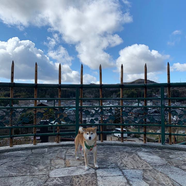 4f0e5361 d768 4968 9f7f 61a8d50a3e1a 1583485864139