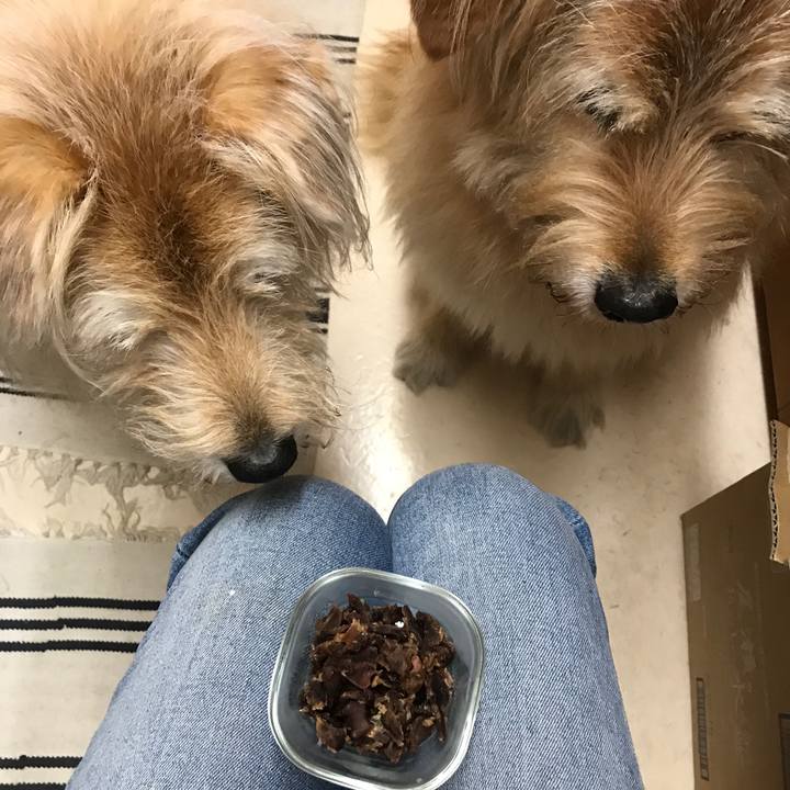 4f0e55b1 4e09 4f95 8a2e 1cf5c1ea6957 1621653272703