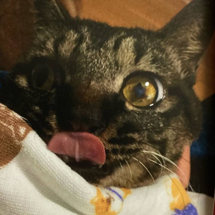 4f0e5c1f bc56 49b4 8e14 eba9d9c25d38 1662009602006