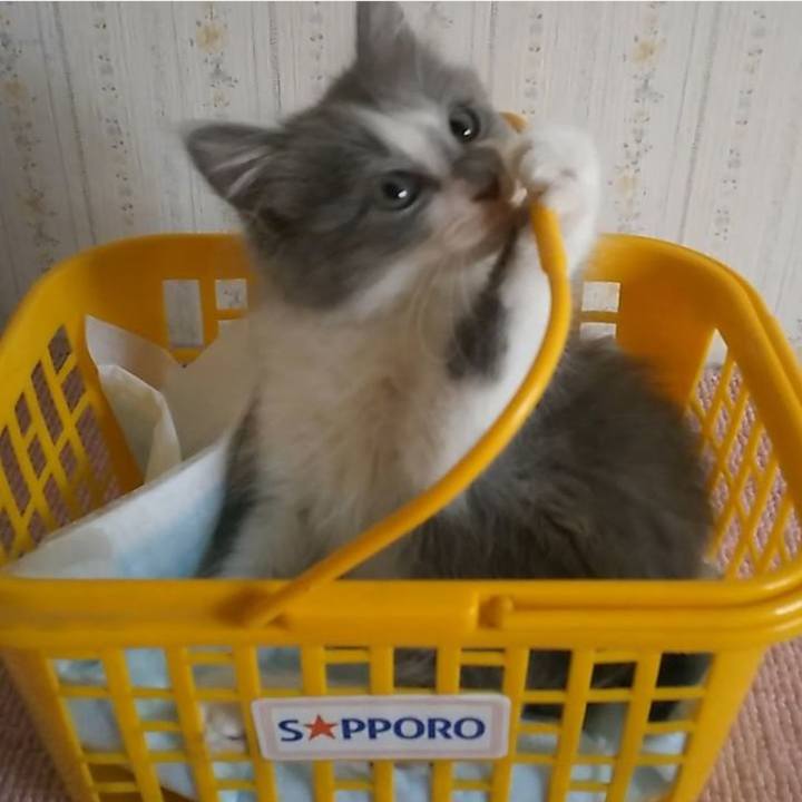 4f0e6747 034e 4061 8f8c 6cfaa77cdb15 1618095806026