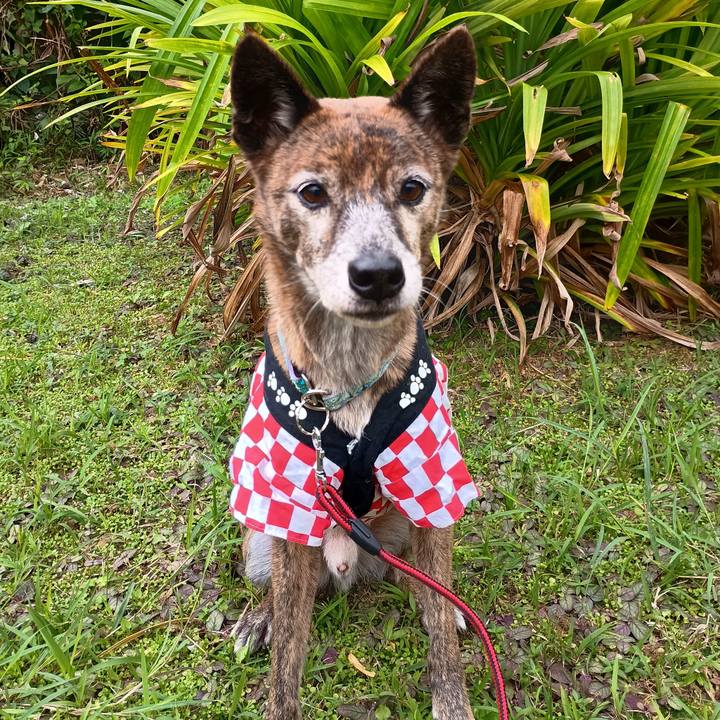 4f0eac61 6cb9 4814 8008 874e3dcf68e3 1767591983211