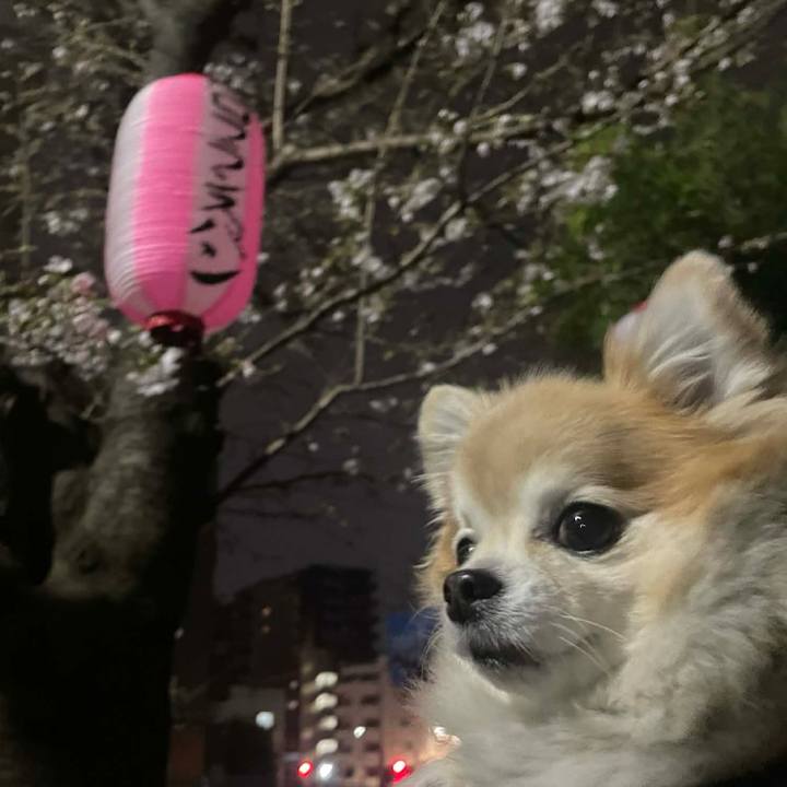 4f0eb296 f500 4b7b 8460 7e134bb408d1 1774191562351