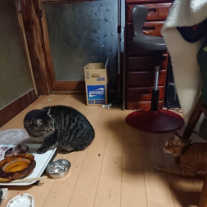 4f0ec09e 629e 42c6 9a01 e522feb24316 1635803678536