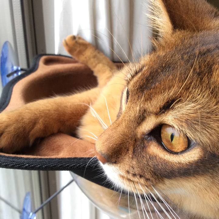 4f0eca1a ad13 4b7a 8738 9df62175c758 1585953436057