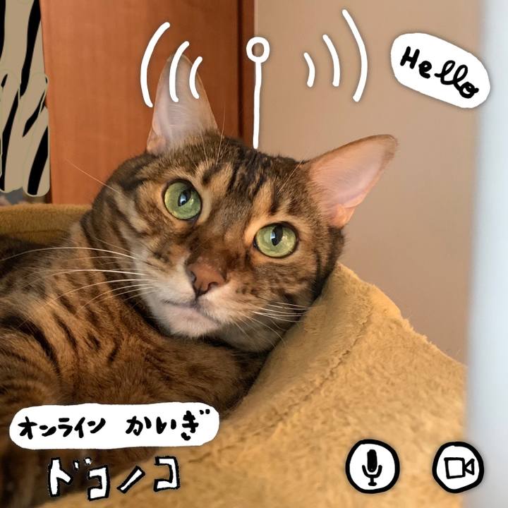 4f0ee325 0135 4ae9 99ee 43e5c6578ab7 1591134918607