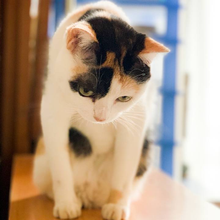 4f0f2cb1 2055 4924 b1d5 bdafd25b14ac 1571794450894