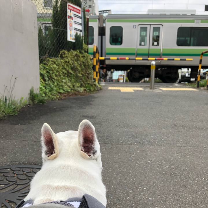 4f0f690c 866b 46c2 9873 f99ff35ce115 1680940175995