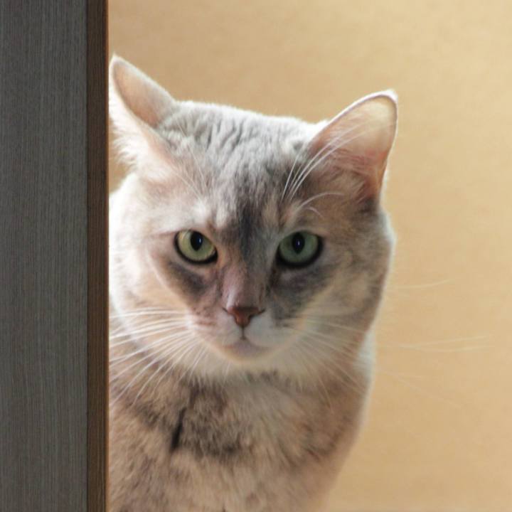 4f0f7f2f 2f9b 4d05 a5d6 715e6089516f 1633230400438