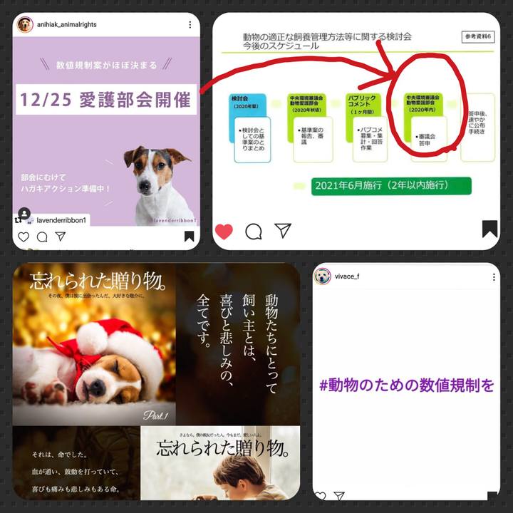 4f0f8333 9ec1 4b4c 90cf 83dc8a28fe30 1608867550047