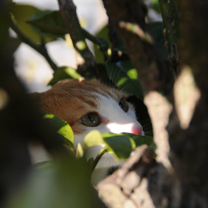 4f0f8a60 e274 40ee aee1 4b56a26f7a55 1520070874142