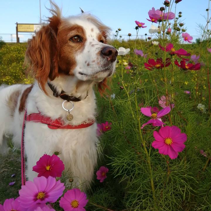 4f0faf5a e436 454f bc76 89788099ae8f 1603712391629