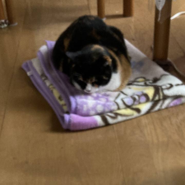 4f0fc73d 80fd 4cee 9540 e64052a73ef5 1671680917839