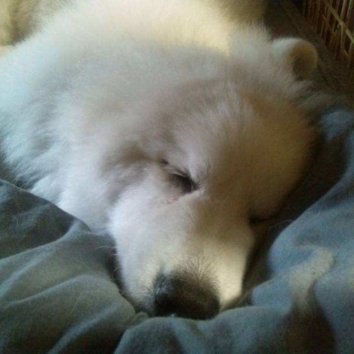 4f0ff9d2 e982 48a9 8fa5 3f1f6a1817b7 1688690698613