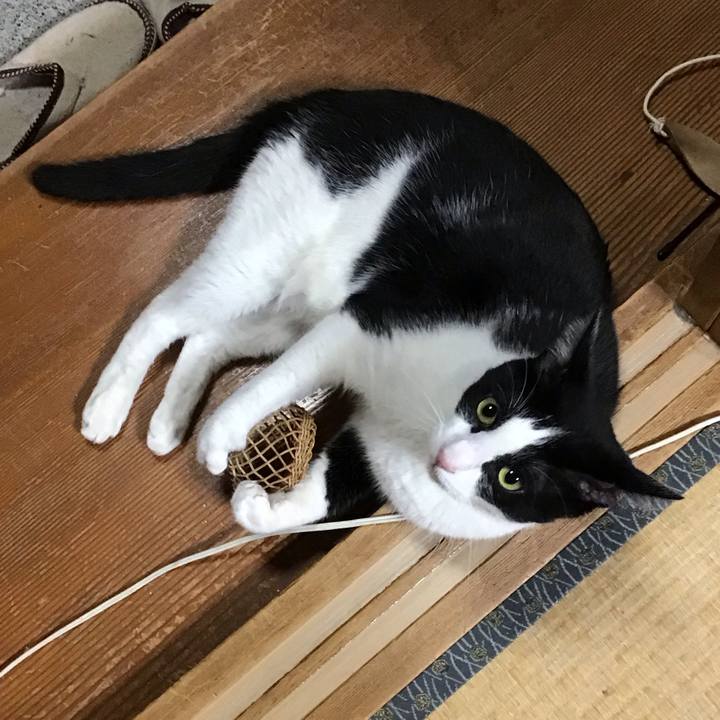 4f10068c 3fac 4ca4 a00c 24e42369fcb7 1726224091049