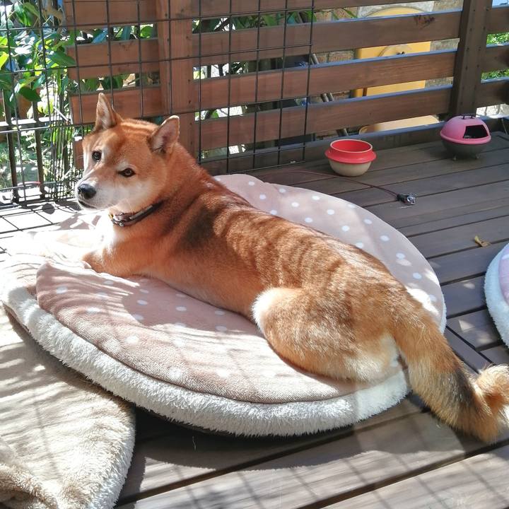 4f1029d5 5535 4401 8901 bf8cb47db5ad 1664674922822