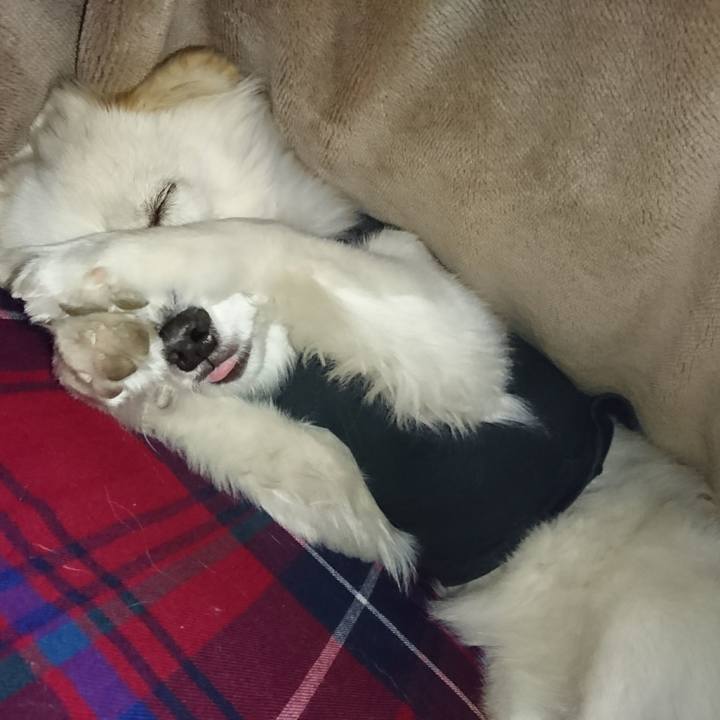 4f1057bc 54e4 4e3d 8367 d1efedac5093 1515184035141