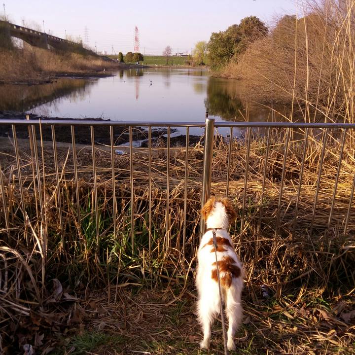 4f105e20 60ab 4c56 ab5a 950e3611d747 1520943154453