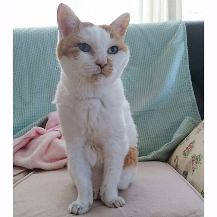 4f105e7f b210 49ce 92d7 3bfaffa71592 1754112974992