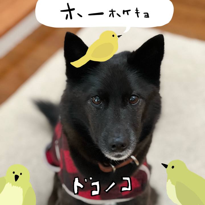 4f10b564 a60e 4299 badc 9951f46a627b 1710994922252