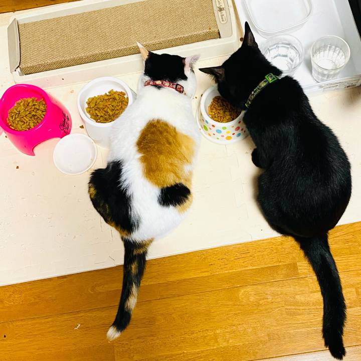 4f10bdbe 1a2b 49c1 be5d dcb4d739ec21 1689459317353