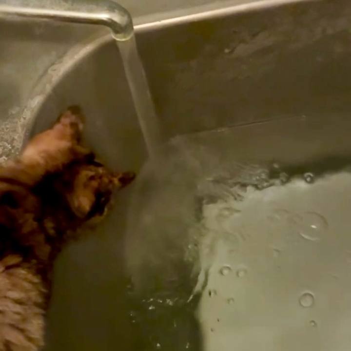 4f10efd9 5a0a 4022 9aa8 32eabc27c3f3 1762116300538