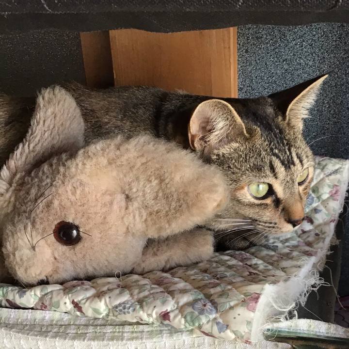 4f112df0 f245 4b85 b13c 49dc5884b47d 1582769125938