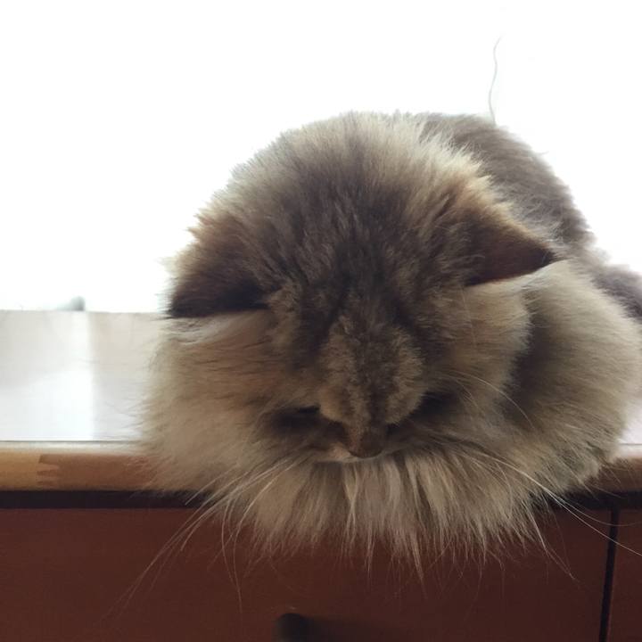 4f113164 a183 486b b98f 5564030c3196 1555892587541