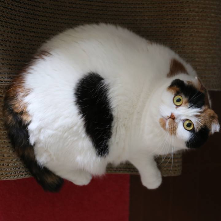 4f1156c4 c030 452f 9ecb ba6396b4702a 1564116016310