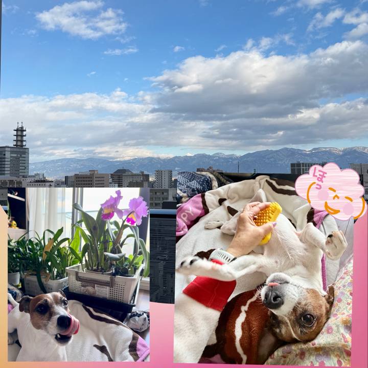 4f1182cf ee12 43e1 bdd8 d765ad26ee10 1767507499135