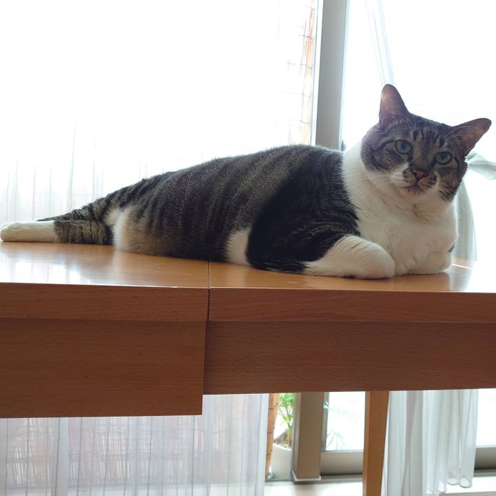 4f11a994 e577 4a7f 9d55 b3b548c747d5 1601172152973