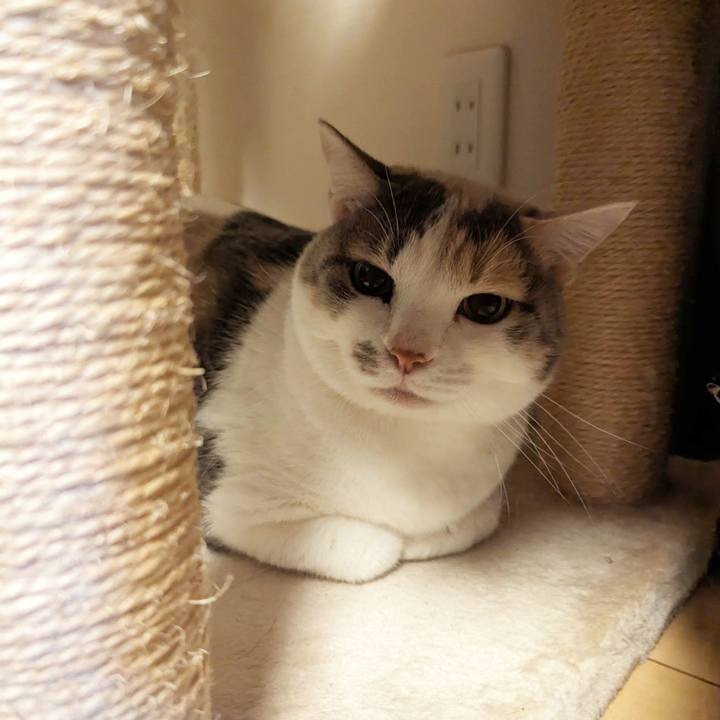 4f11c169 9ec4 4f7a b690 397cf8e95b4f 1707970617323