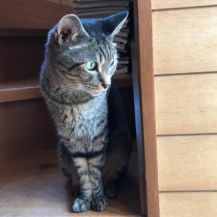 4f11c66f e47f 4ba4 9946 057b10fc0451 1531185896737