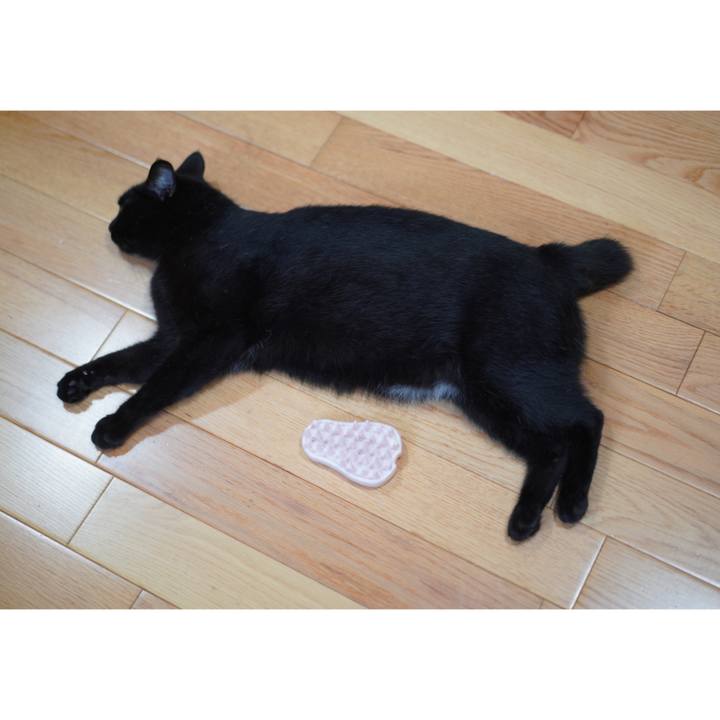 4f11e54b b380 4894 a5e9 313cb0421d8c 1628939337112