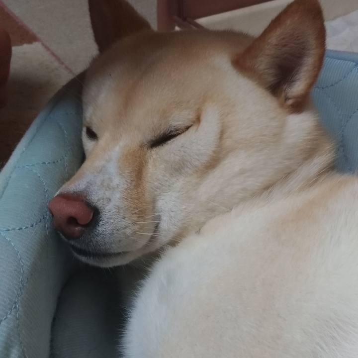 4f126f60 89bd 416d a95c 6a69d1671979 1559223055985