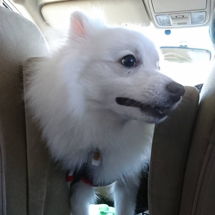 4f1277df d572 4c58 be94 bef292e7dfae 1556327857361