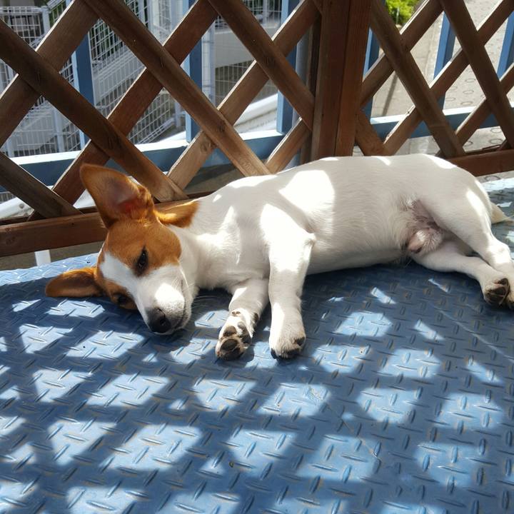 4f127be5 c1dc 4300 a66c 33e423c2279f 1564116841132