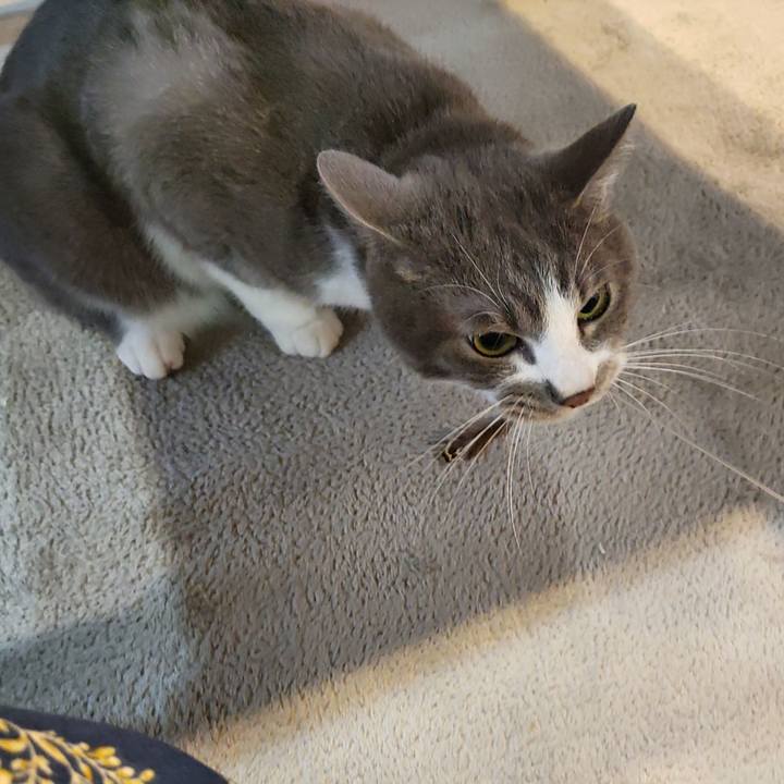 4f1287d2 30d1 49d2 9012 ba7c793d3e4e 1686781062843