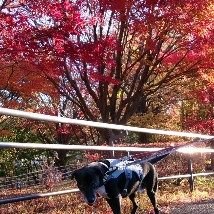 4f12bae1 9336 437b ab9b a7d2183f1de4 1733703823447