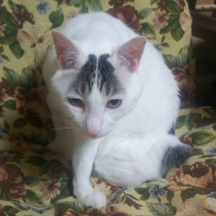 4f131a16 7583 4440 9511 e6c87e0cbbae 1560160431920